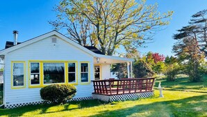 A white house with yellow window frames, a porch, and a large tree in the background. - Pine Cottages (Stanhope)