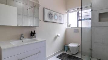 Hair dryer, towels, soap, shampoo
