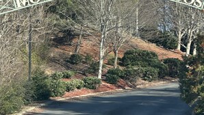 A sign for 'MOUNTAINVIEW CONDOS' with a road leading to it, surrounded by trees and a building in the background.