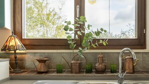 A kitchen with a sink, a window, and a plant.