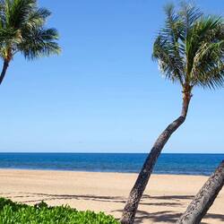 On the beach, sun loungers, beach towels
