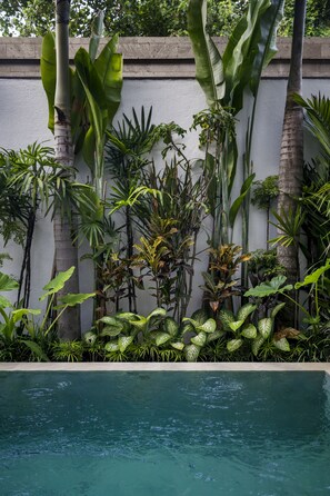 A pool surrounded by lush tropical plants and a white wall. - Villa Pereh by Alfred in Bali (Canggu)