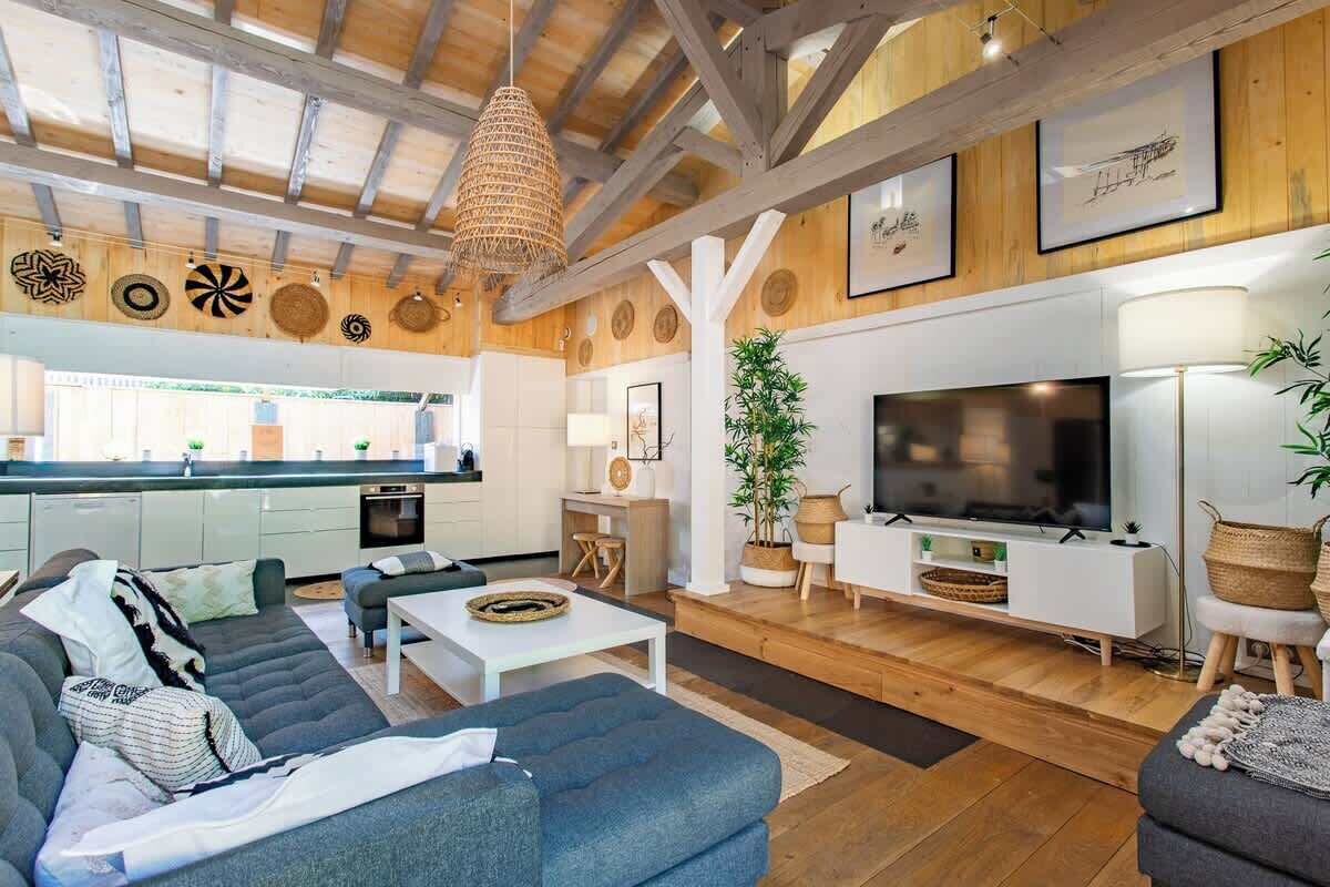 TV