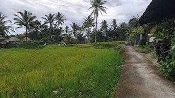 Esterni
