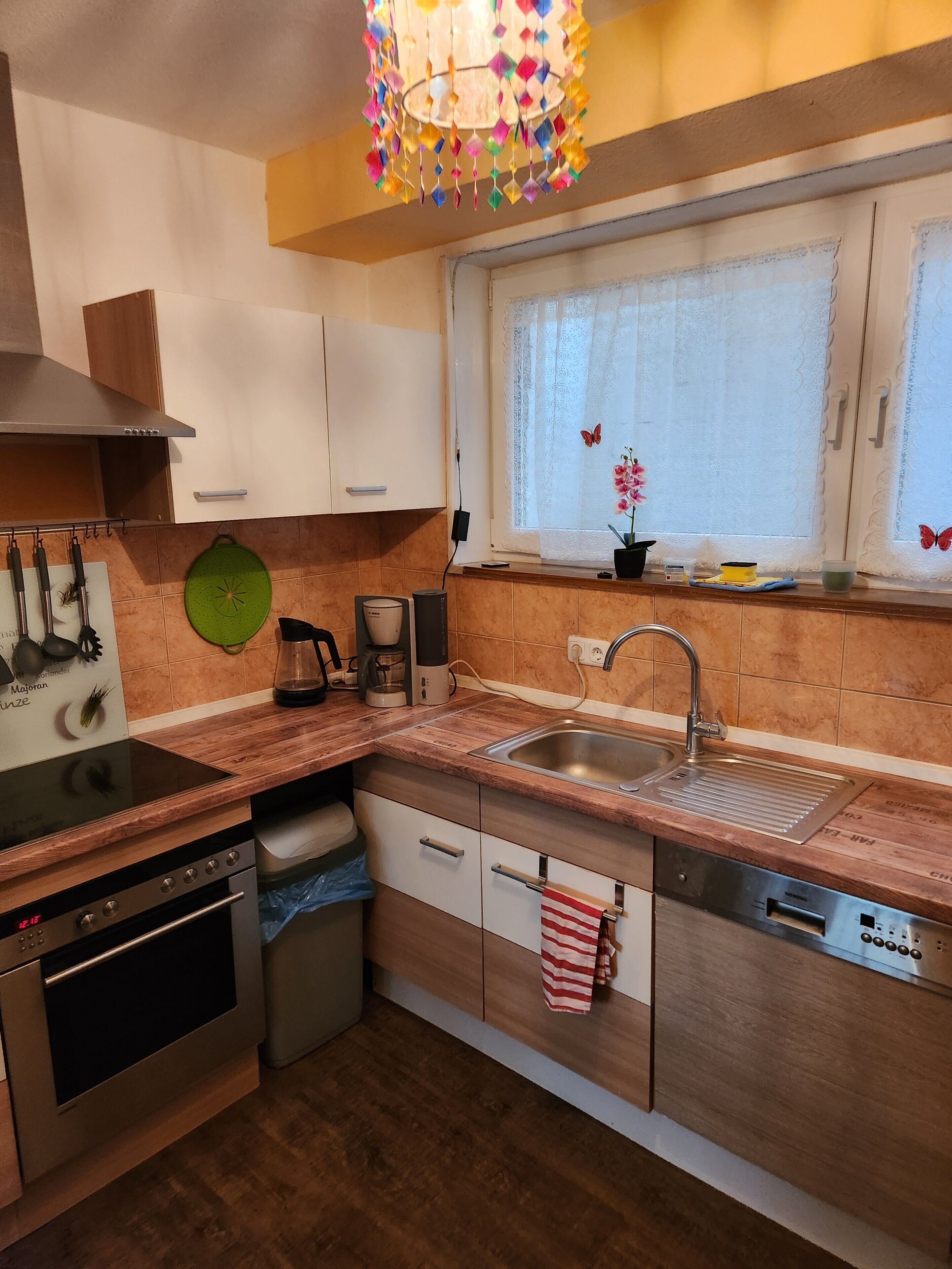 Een moderne keuken met een ingebouwde kookplaat, oven en vaatwasser, een spoelbak met kraan en een raam met vlinderdecoratie.