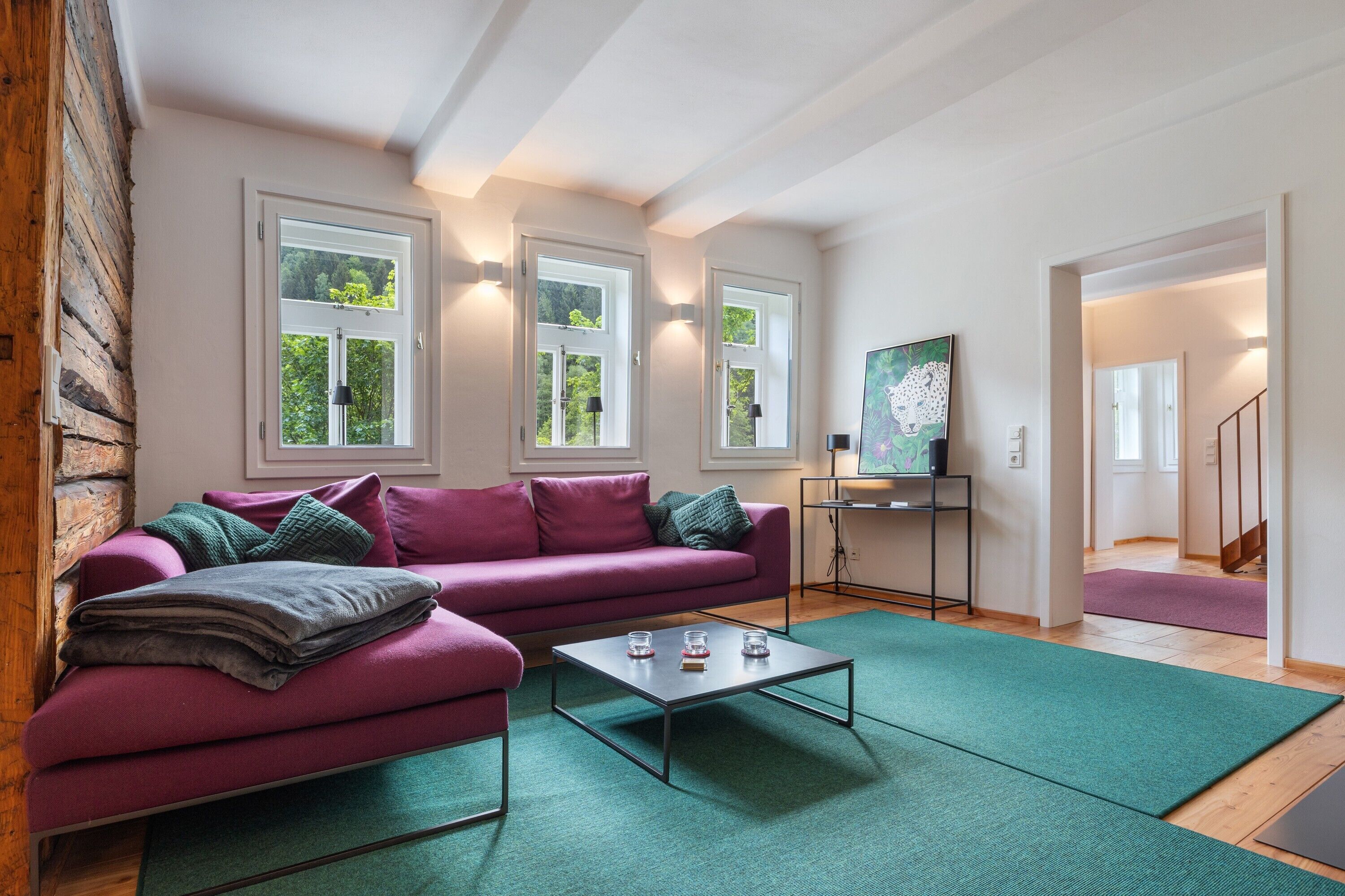 Fernseher