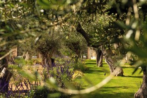 Exterior - The Yard Corfu  (Corfu)