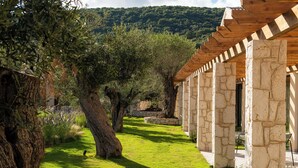 A stone pergola with a wooden roof overlooking a well-maintained garden with olive trees and a stone pathway. - The Yard Corfu  (Corfu)