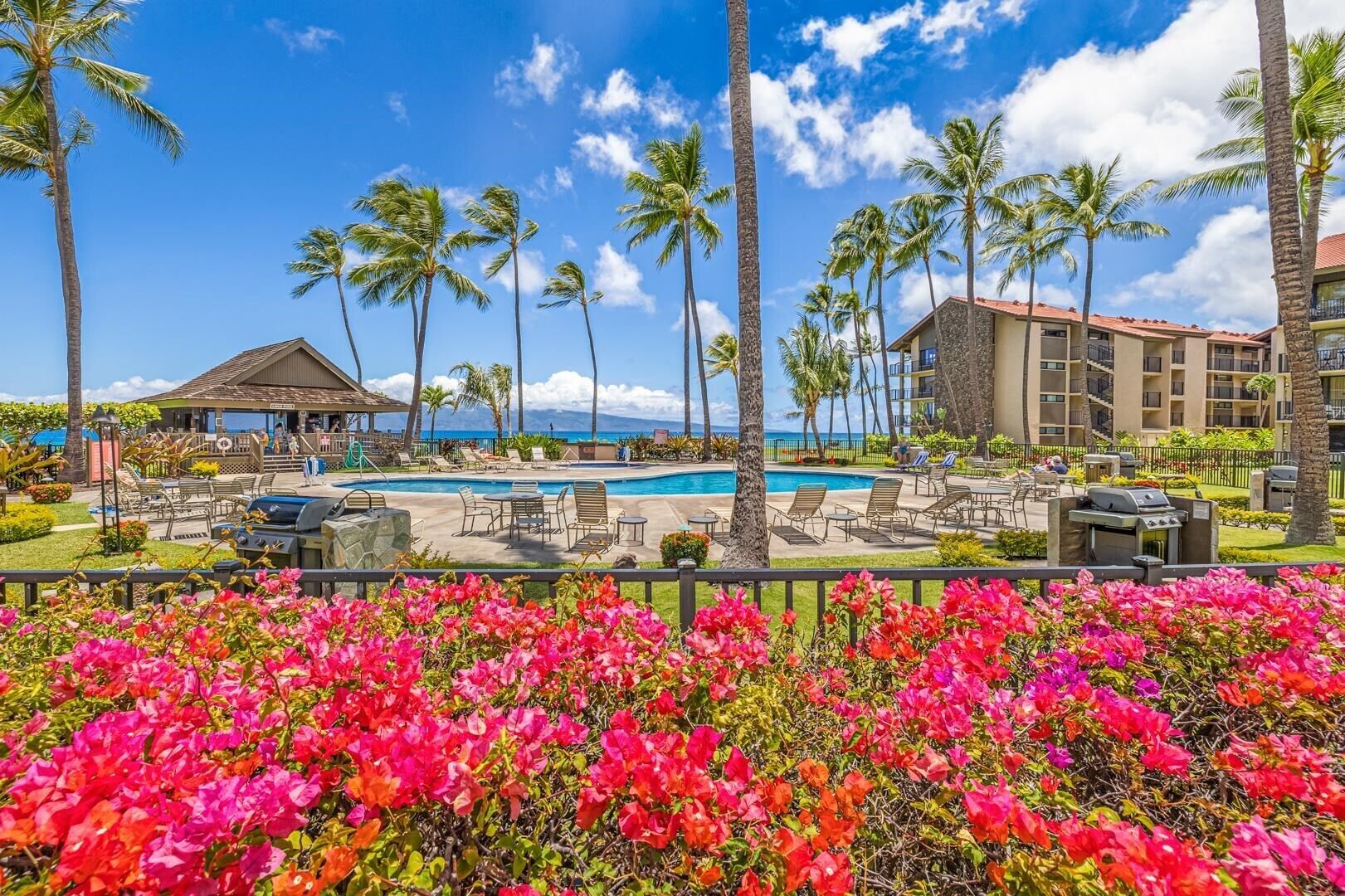 Gorgeous Condo! Best Remodel! Ocean, Island, Sunset, and Whale Watching Views! 