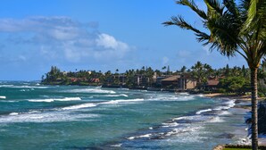 A coastal view with ocean waves, a beach, and a row of buildings with a palm tree in the foreground.