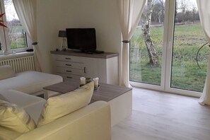 TV connectée, cheminée