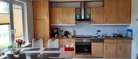 Fridge, oven, stovetop, dishwasher