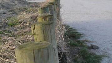 In Strandnähe