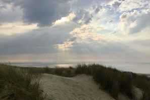 Nära stranden