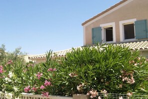 Terrain de l’hébergement 