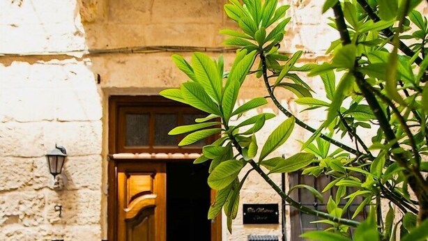 A stone building with a wooden door, potted plants, and a mailbox. - Charming Central Townhouse in Sliema  (Sliema)