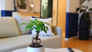 TV connectée, livres