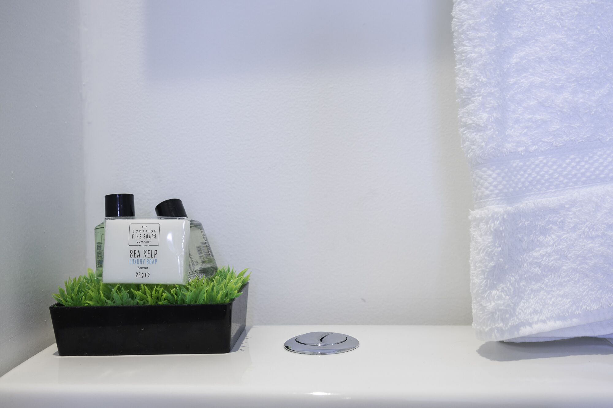 A bathroom with a white sink, a black soap dispenser, and a small potted plant with green leaves.
