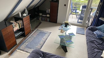 电视、DVD 播放器、书、立体声音响
