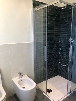 Shower, hair dryer, bidet, towels