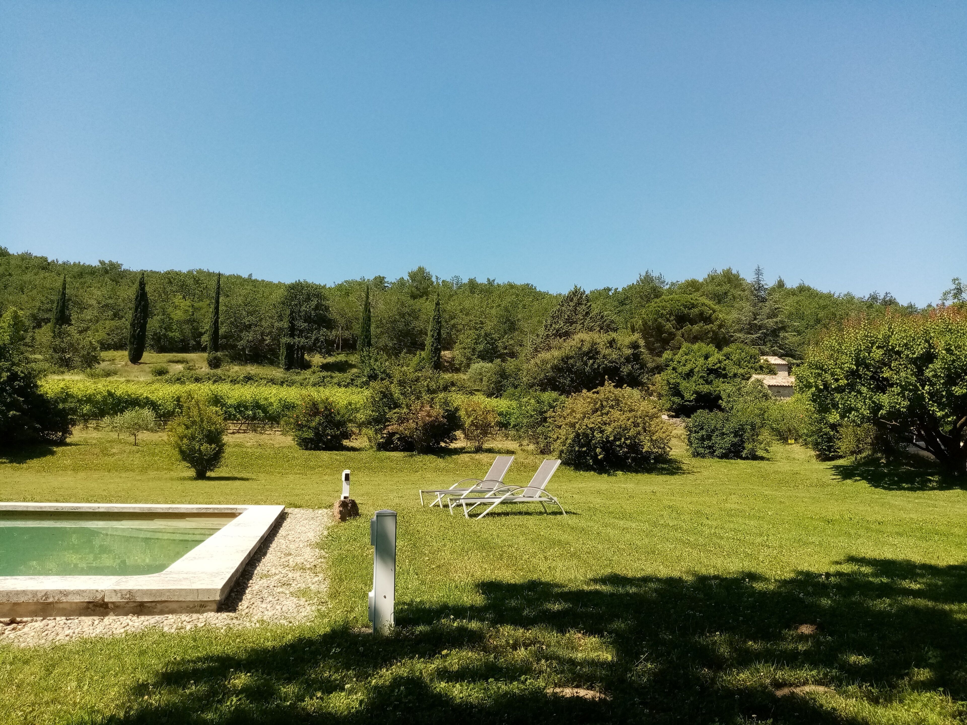 A pool area with a grassy lawn, a few lounge chairs, and a clear sky.