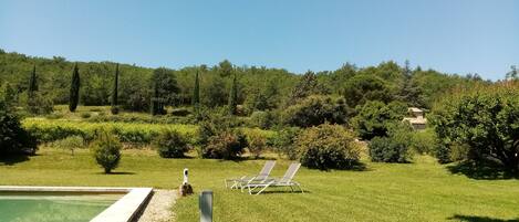 A pool area with a grassy lawn, a few lounge chairs, and a clear sky.