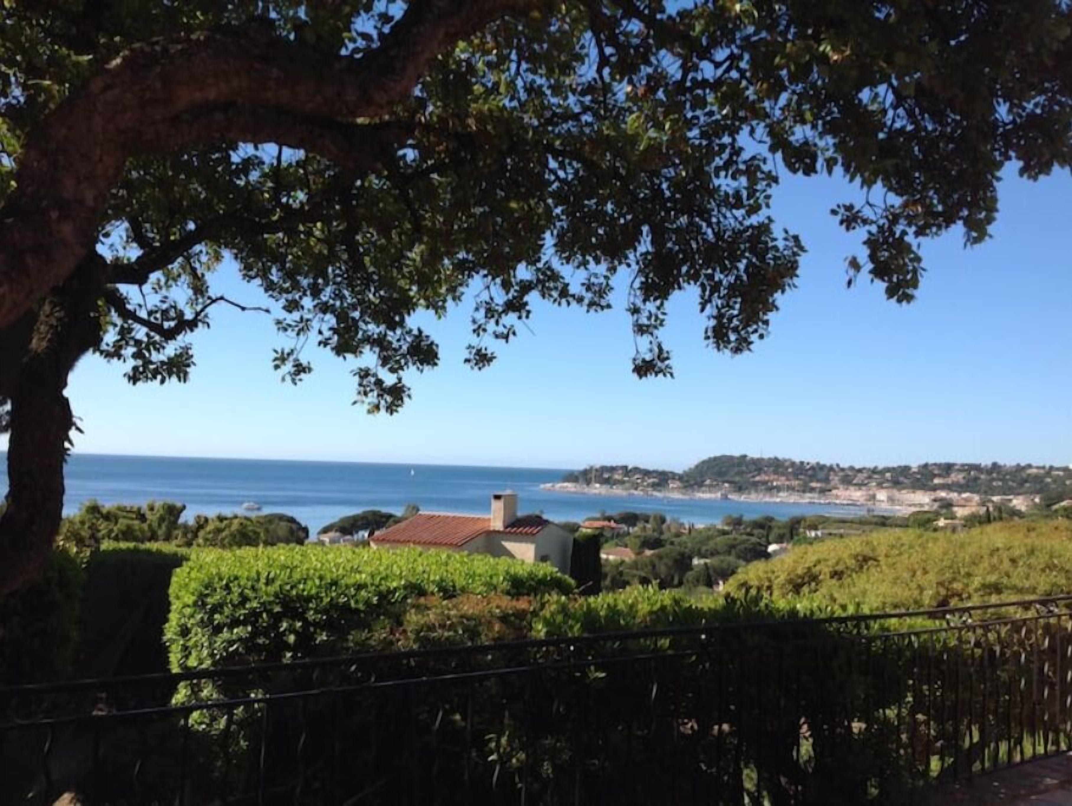 A coastal landscape with a vineyard, a building with a red roof, and a clear view of the sea and distant hills.