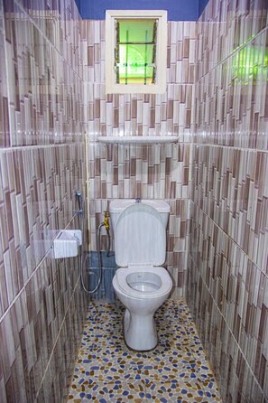 シャワー、ヘアドライヤー、石鹸、トイレットペーパー