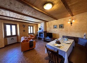 TV, fireplace