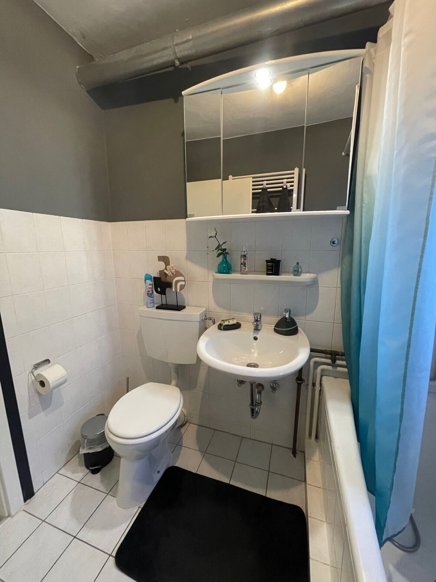 Haartrockner, Handtücher, Seife, Shampoo