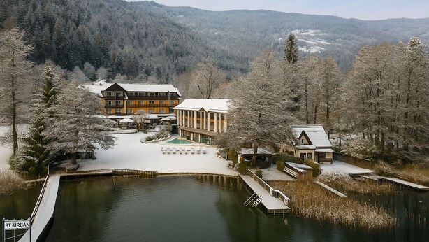 Un chalet au bord du lac, doté d’une piscine, d’un espace repas et offrant une vue sur la forêt et les montagnes environnantes.