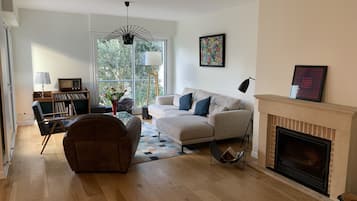 Smart-TV, Kamin