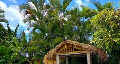 LA KAZ POMME CANNELLE *** Piscine - 7 chambres - 15 personnes