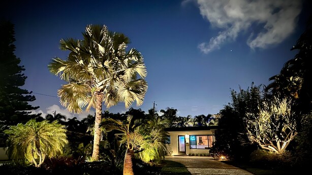 A well-lit pathway leading to a building with a modern design, surrounded by lush greenery and palm trees.