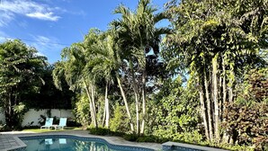 A swimming pool with a tiled edge, surrounded by lush greenery and two lounge chairs.