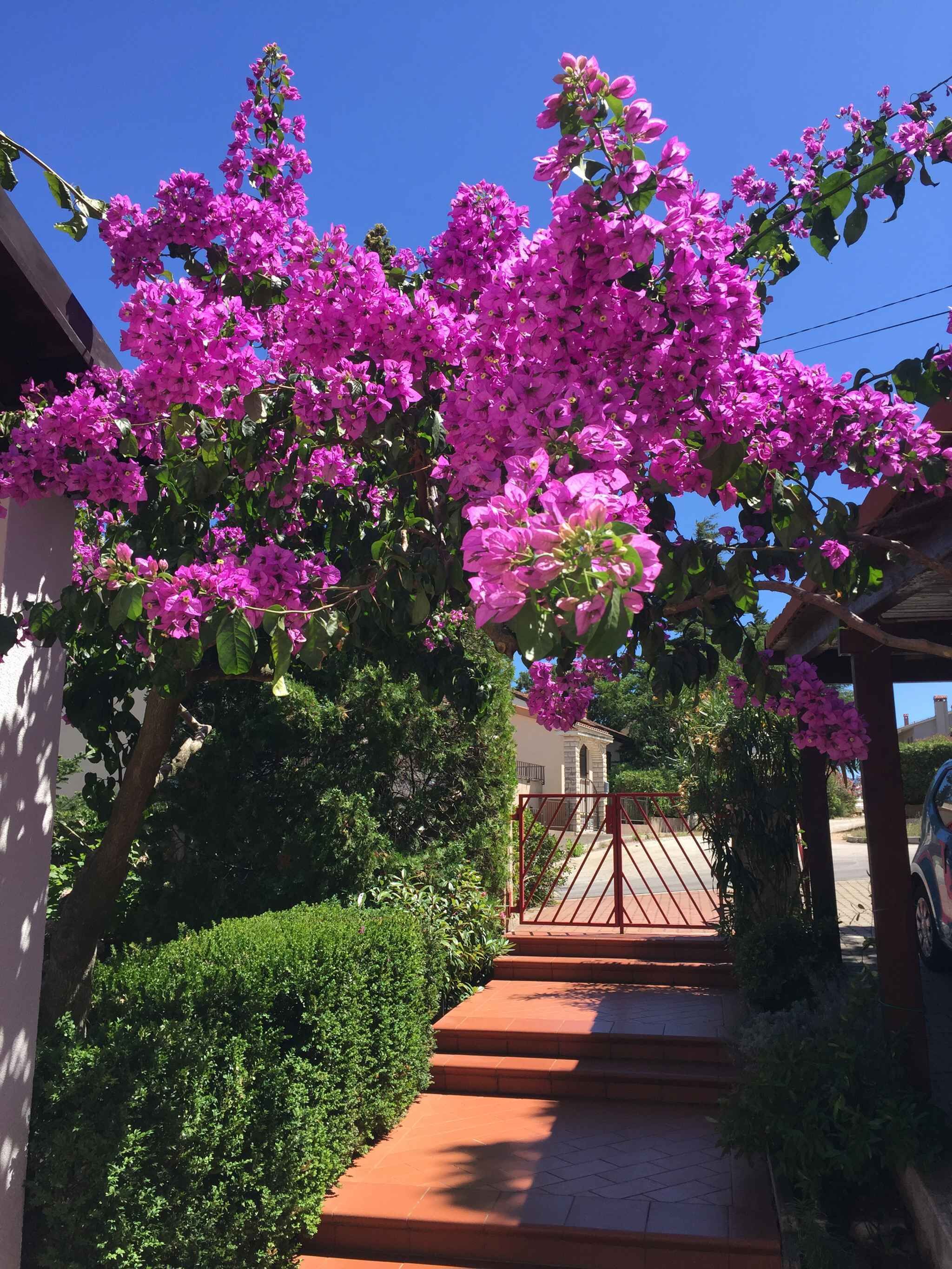 Àrea exterior de l'allotjament