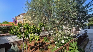 A garden with a variety of plants and a building with a red-tiled roof. - Holiday apartment with air conditioning and large terrace (Pula)