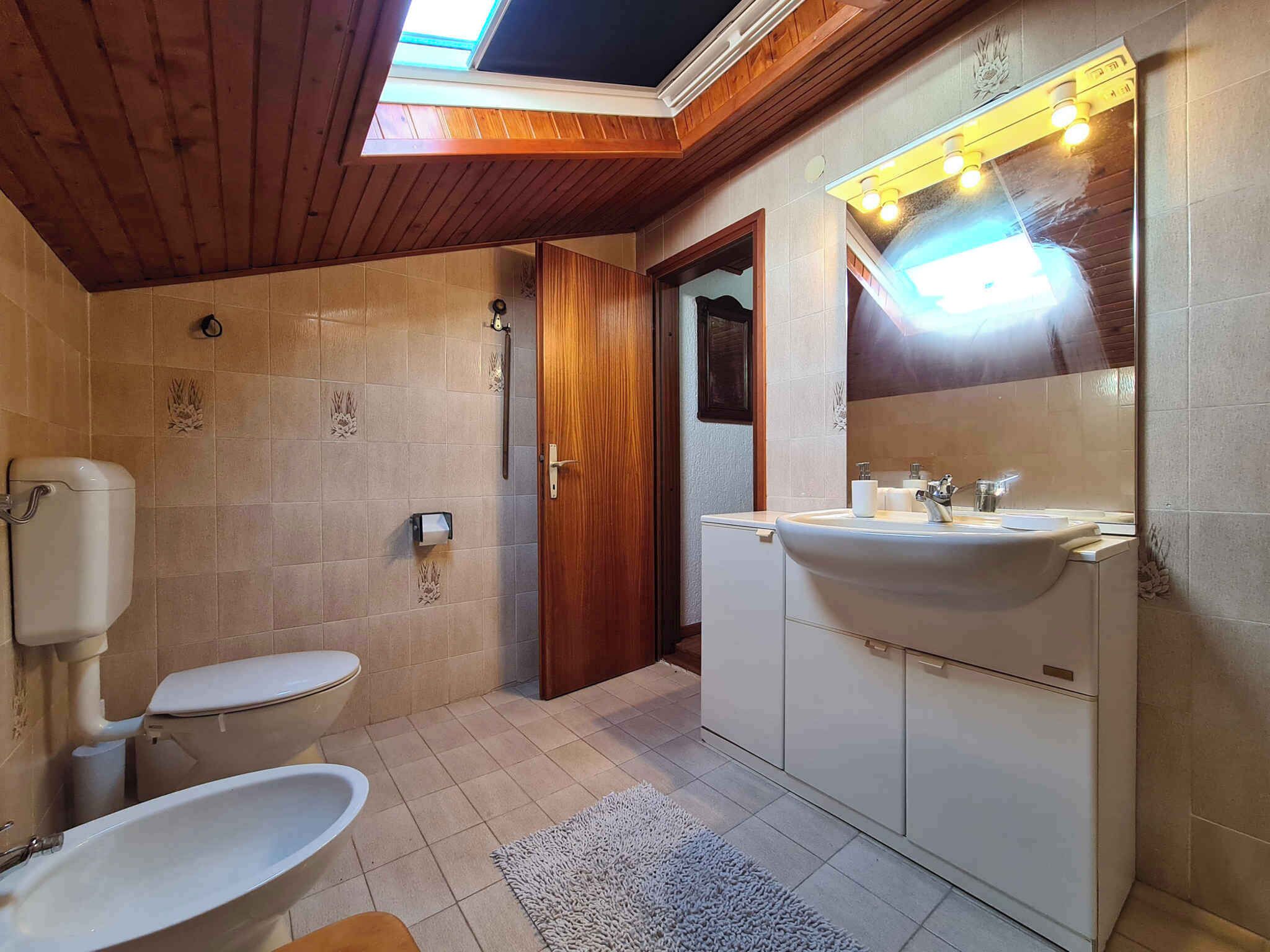 A bathroom with a skylight, a toilet, a sink, and a shower.
