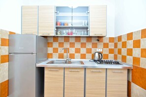 Fridge, oven, stovetop, cookware/dishes/utensils