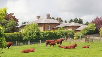 Rumah | Halaman properti