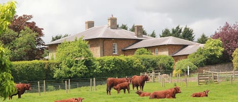 Une propriété rurale comprenant une maison en briques, un pâturage clôturé et des vaches.