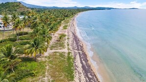 A coastal view with a beach lined by palm trees and a clear sky. - Zana del Mar | Steps from the Beach (Humacao)