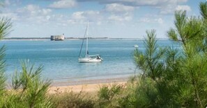 Beach - Maison Bord de mer (Soubise)