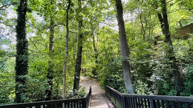 A paved pathway flanked by black metal railings, surrounded by lush green trees. - "fewo Fuchs" im Ferienhaus am Tal Josaphat (Limburg an der Lahn)