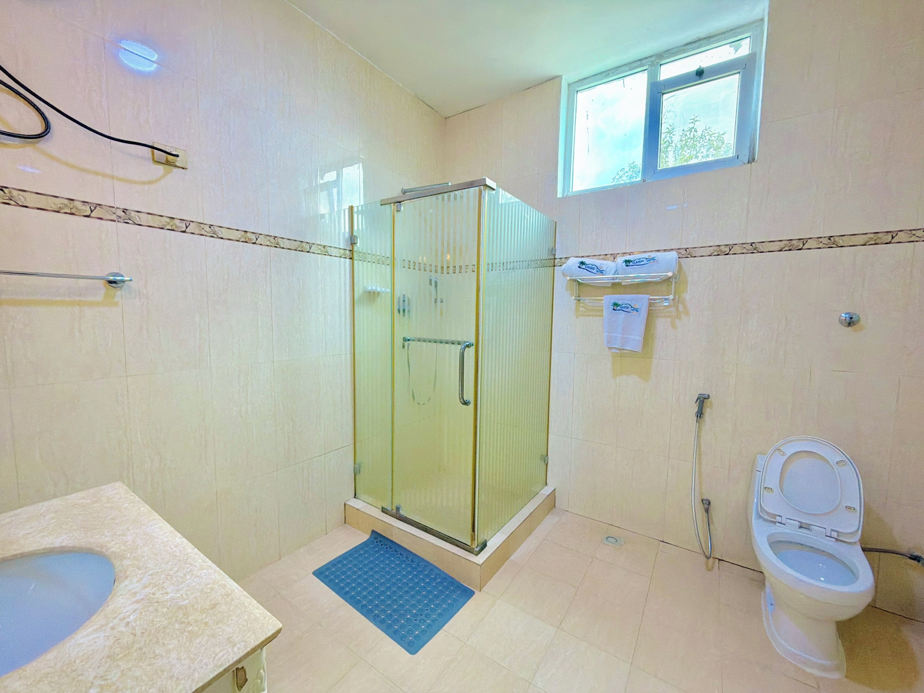 A bathroom with a glass-enclosed shower, a toilet, a sink, and a window.