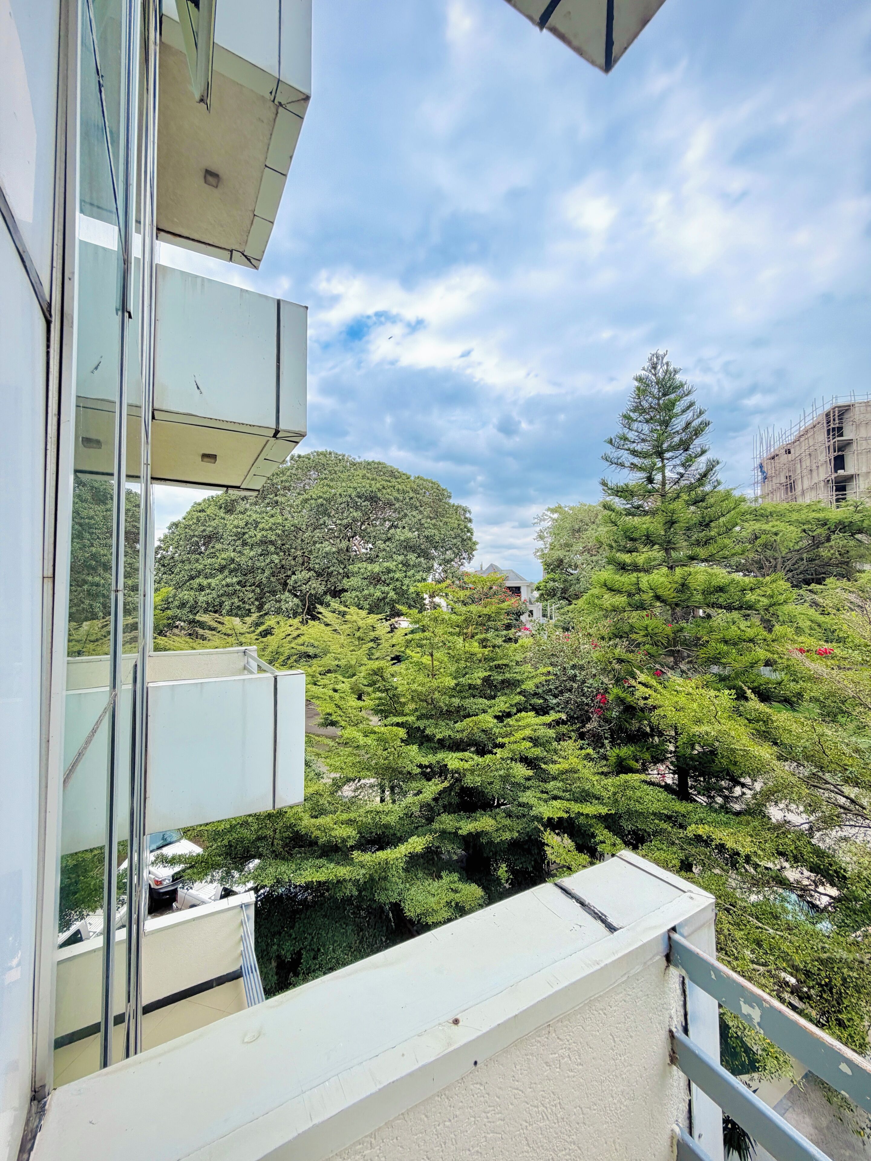 Vista desde la habitación