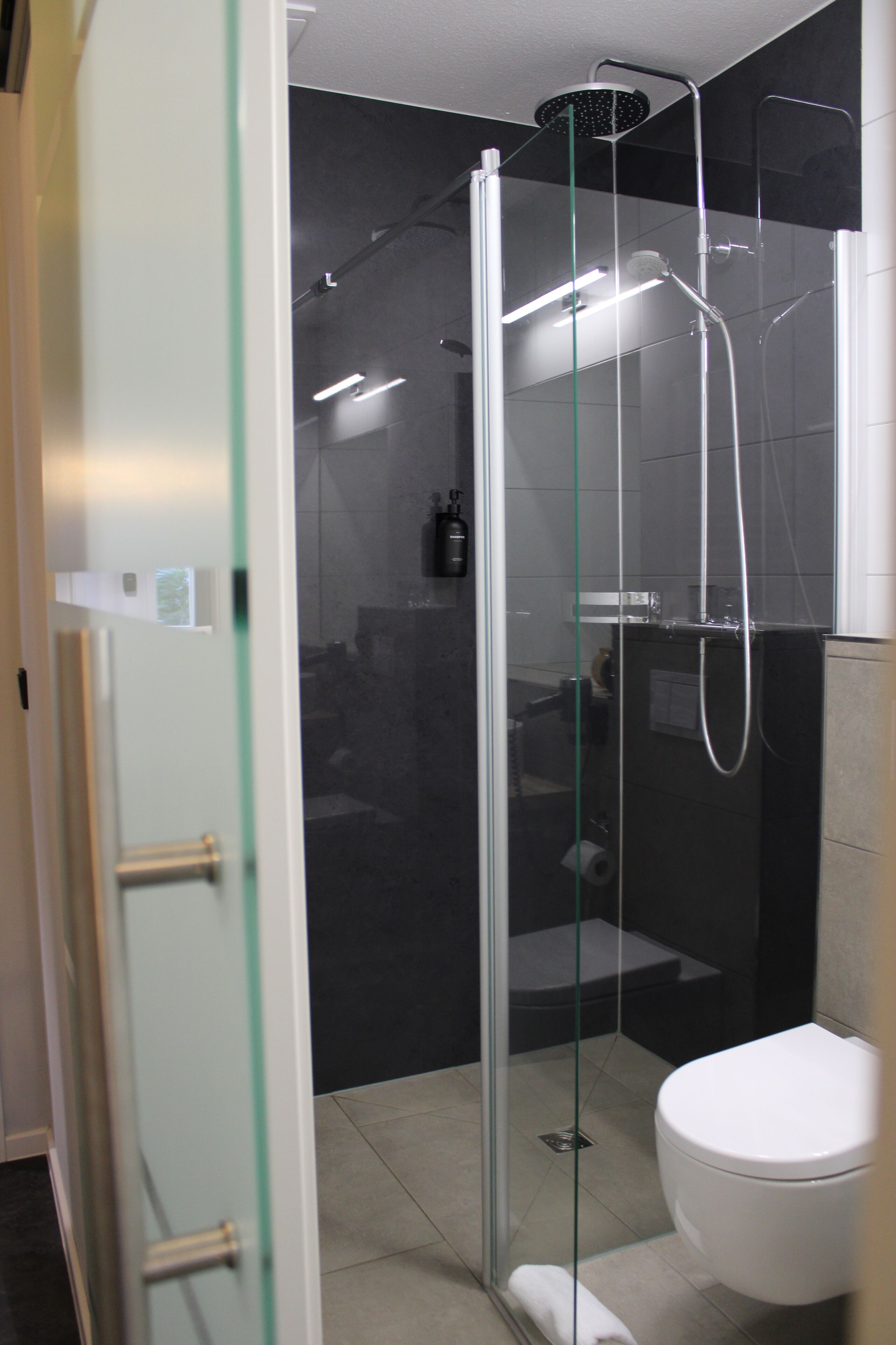 Een douchecabine met glazen wanden, een handdouche, een toilet en een glazen deur.