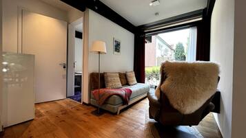 Fernseher, Stereoanlage