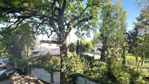 A tree-lined residential area with a white building in the background. - Cozy studio in charming Wrocław with WiFi access (Wrocław)