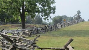 Escena de recreación histórica con barricadas de madera y un árbol en primer plano.